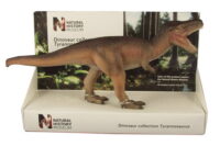 Tyrannosaurus Natural History Museum 1/40