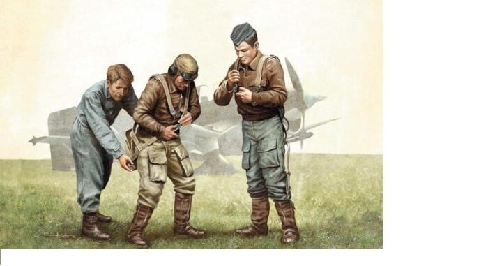 Pilots of the Luftwaffe WW2 Era