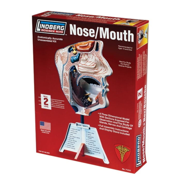 1/1 Nose/Mouth Kit Lindberg