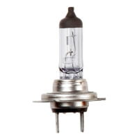 24V 70W H7 Px26D Hal Bulb