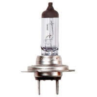 24V H7 70W Llhd Bulb