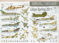 In the service of the rebels: Lybia Spring 2011 (DP Casper Decals DPC72026)