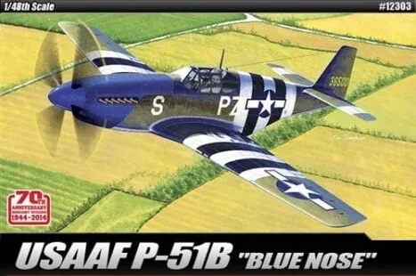 "Normandy 70th Anniversary" P-51B USAAF 1/48 Scale Kit