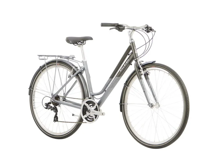 Cl Raleigj Raleigh Pioneer Low Step