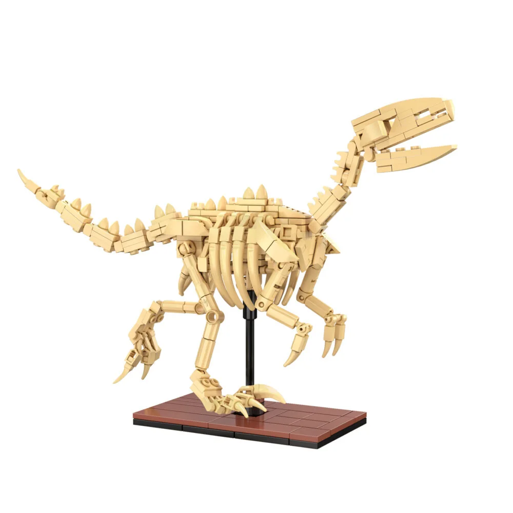 CaDA Dinosaur Fossils: Velociraptor