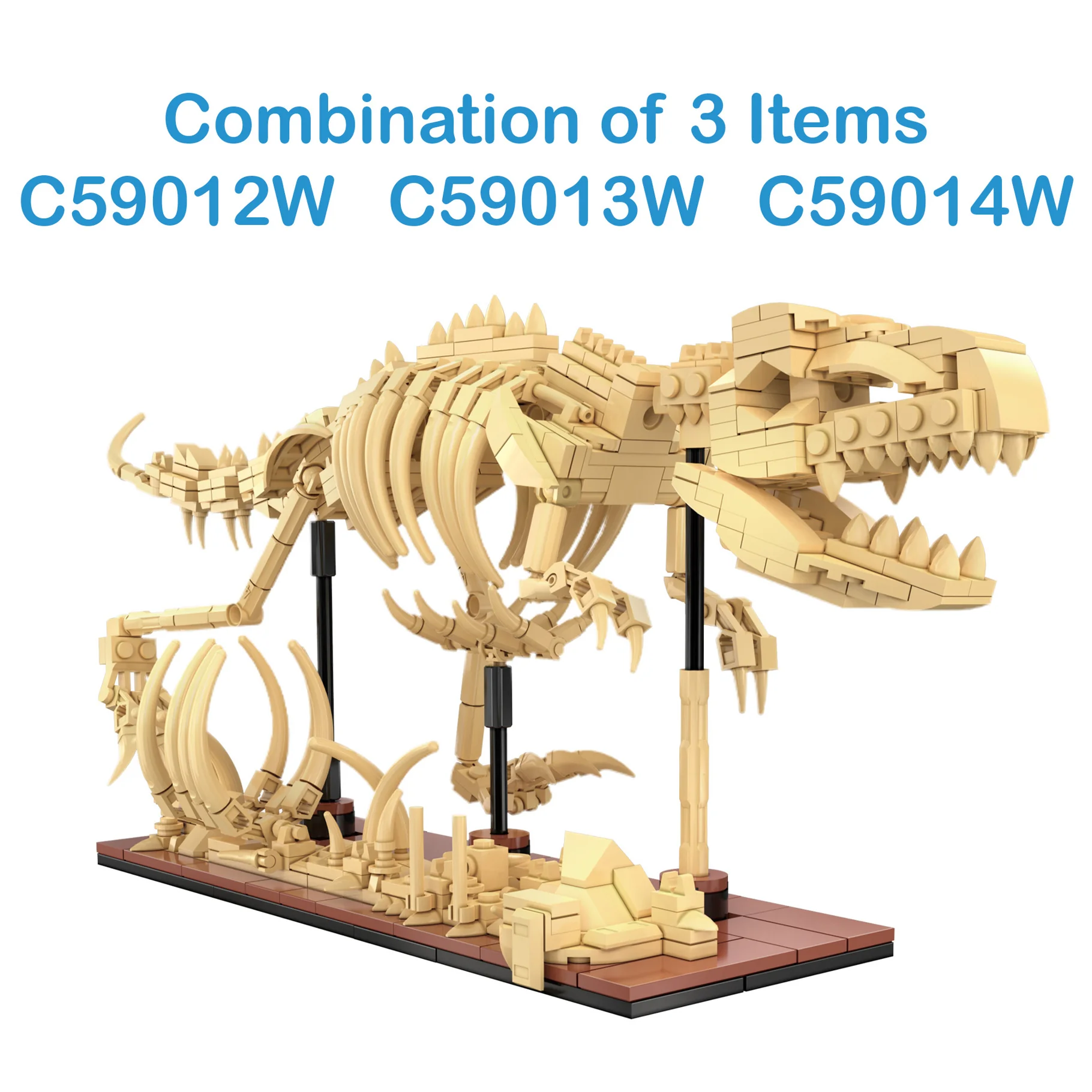 CaDA Dinosaur Fossils: Velociraptor - Image 3