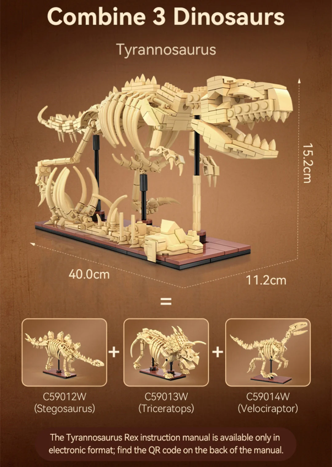 CaDA Dinosaur Fossils: Velociraptor - Image 4